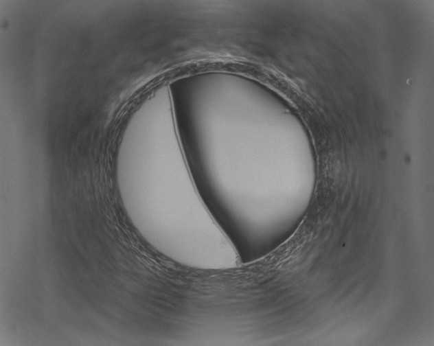 X0000078301303200611031007