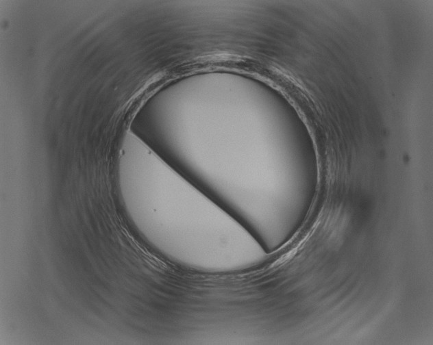 X0000078301305200611031007