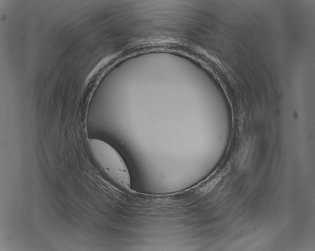 X0000078301306200611031007