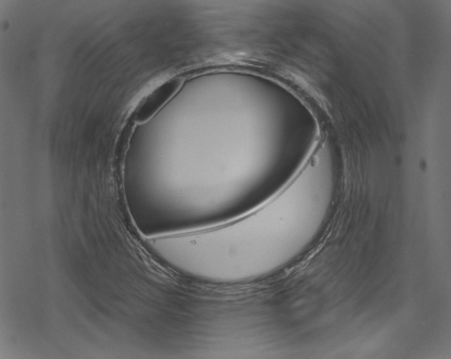 X0000078301308200611031007