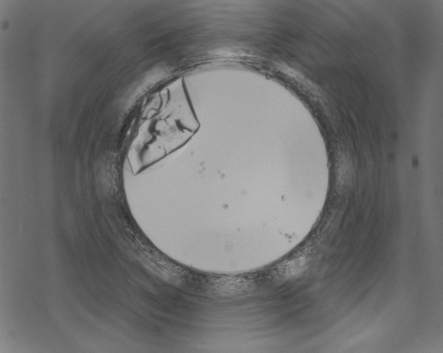 X0000078301314200611031007