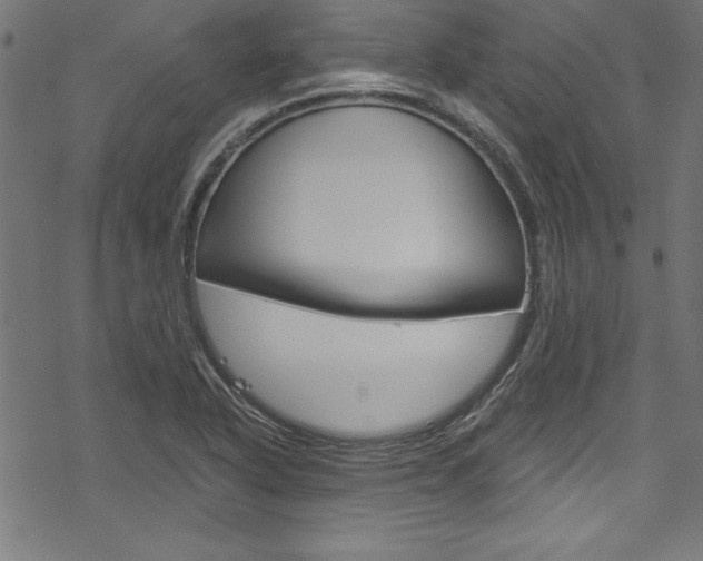 X0000078301318200611031007