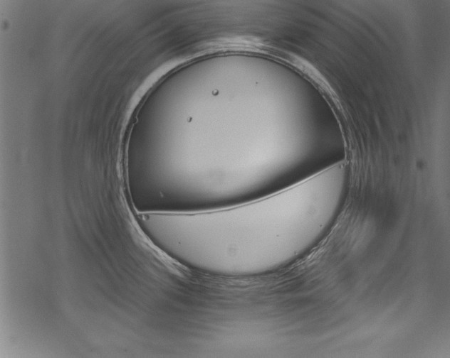 X0000078301339200611031007