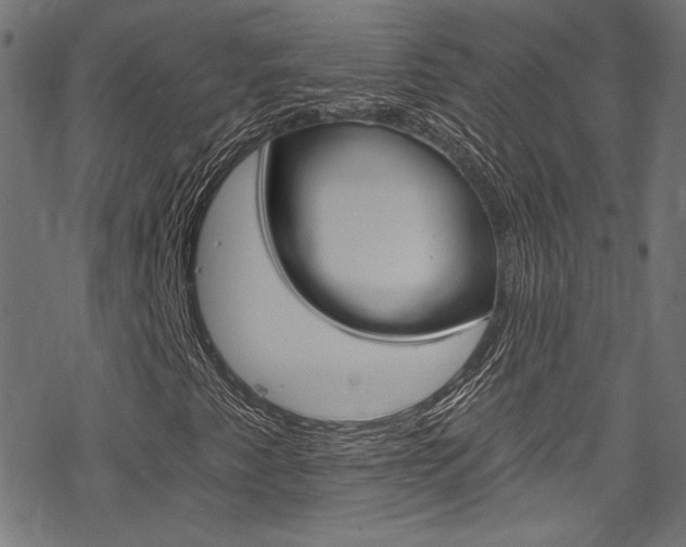 X0000078301345200611031007