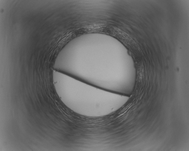 X0000078301346200611031007