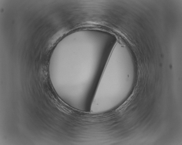 X0000078301355200611031007