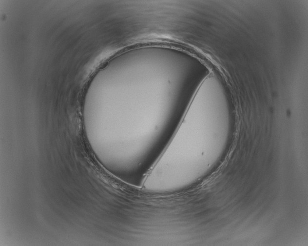 X0000078301363200611031006