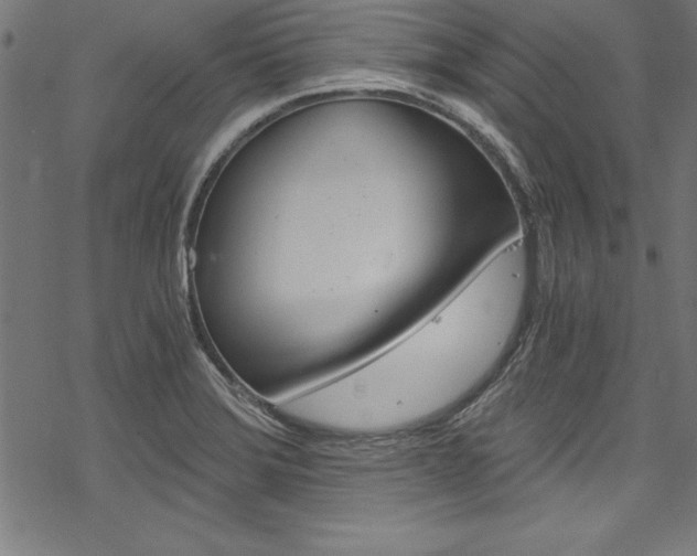 X0000078301372200611031006