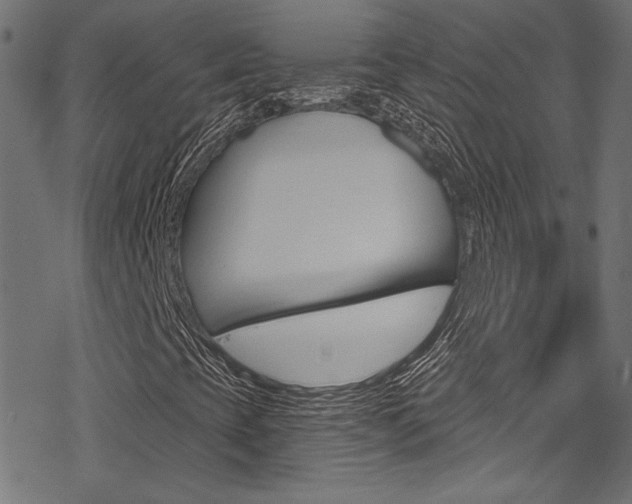 X0000078301393200611031005
