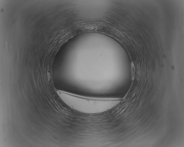X0000078301394200611031005