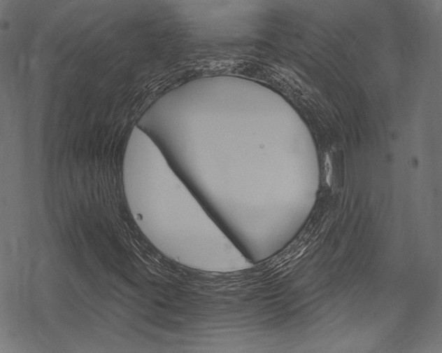 X0000078301395200611031005