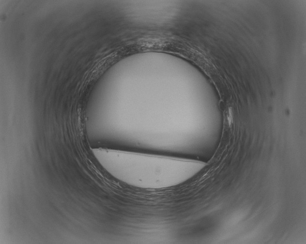X0000078301396200611031005