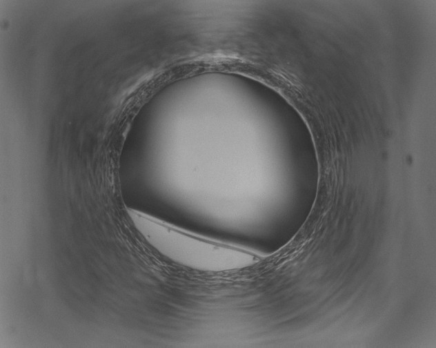 X0000078301398200611031005
