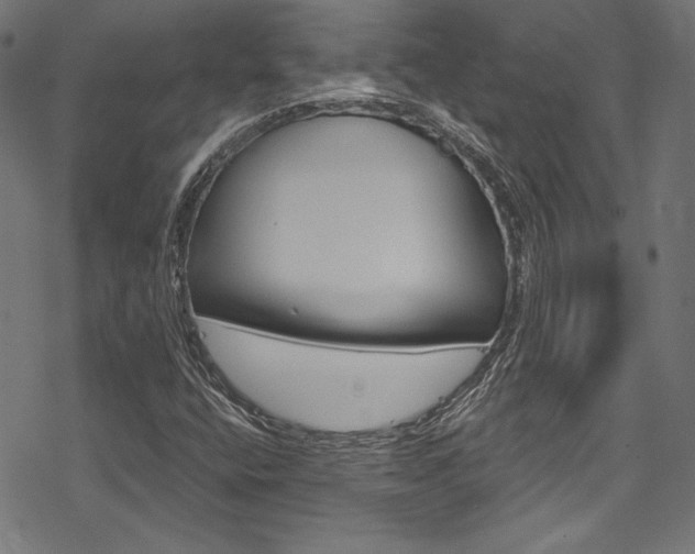 X0000078301400200611031005