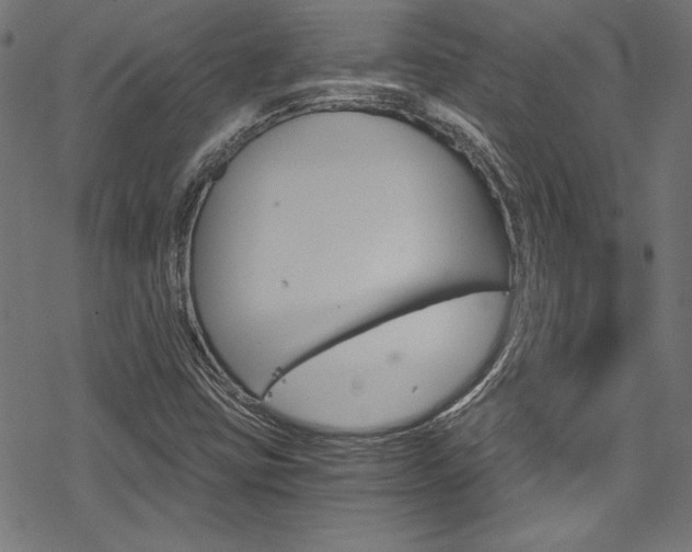 X0000078301403200611031005