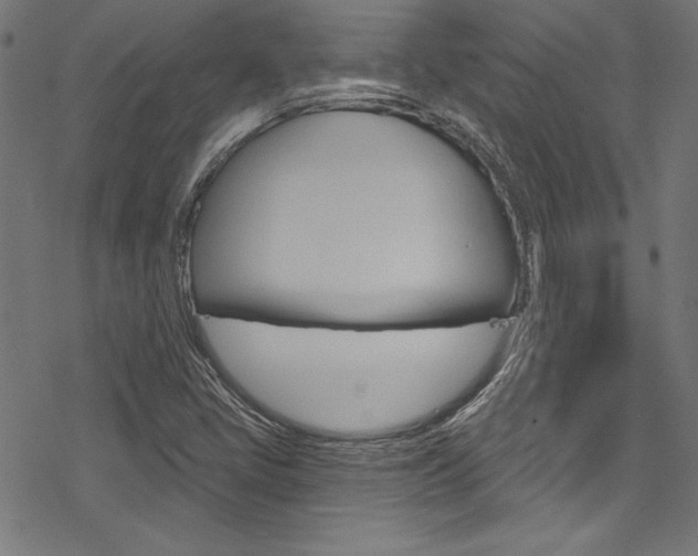 X0000078301405200611031005