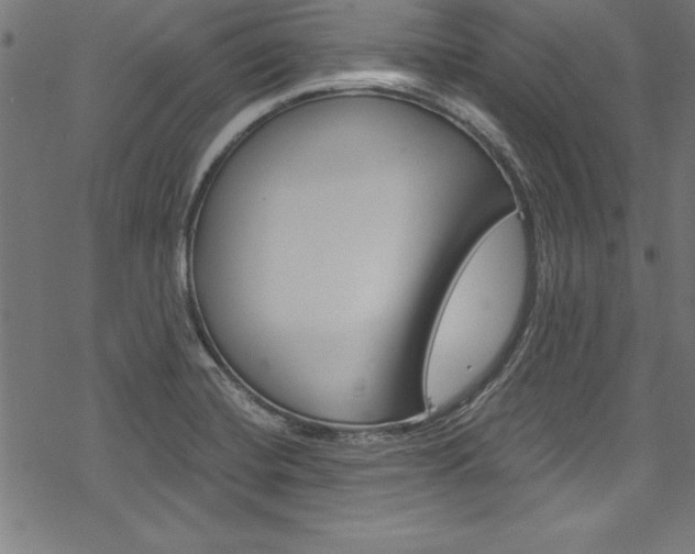 X0000078301420200611031006