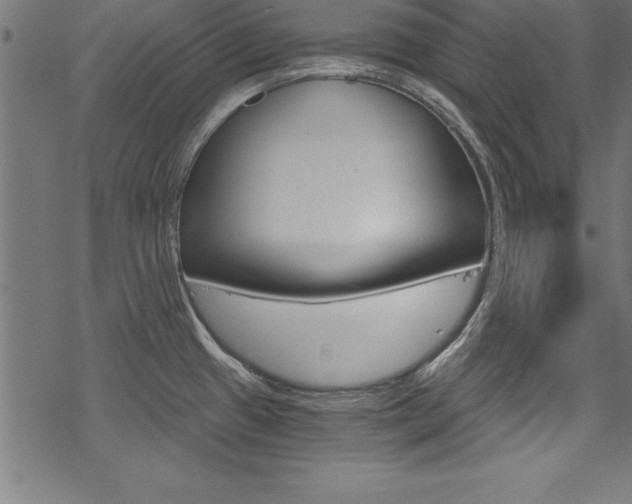 X0000078301433200611031006
