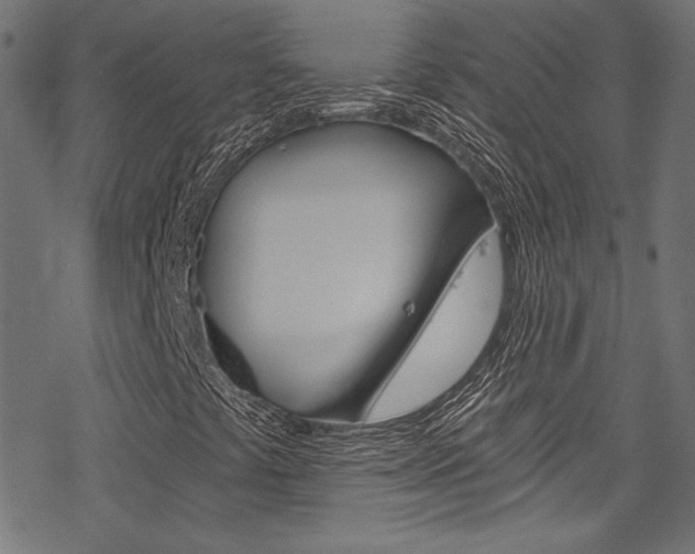 X0000078301441200611031005