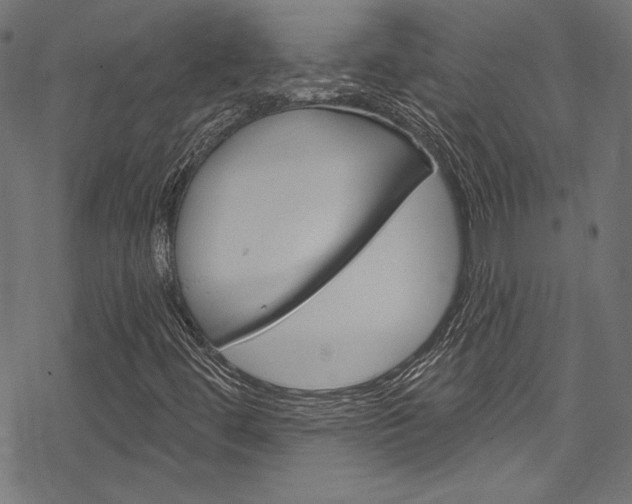 X0000078301444200611031005