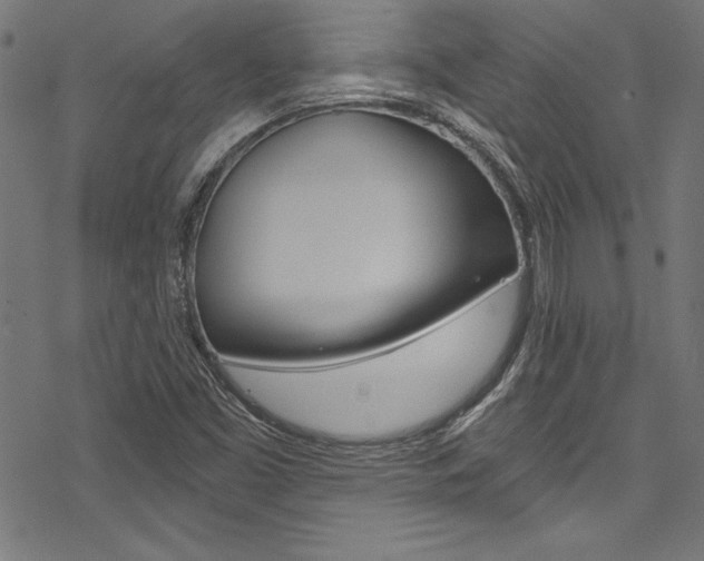 X0000078301453200611031005
