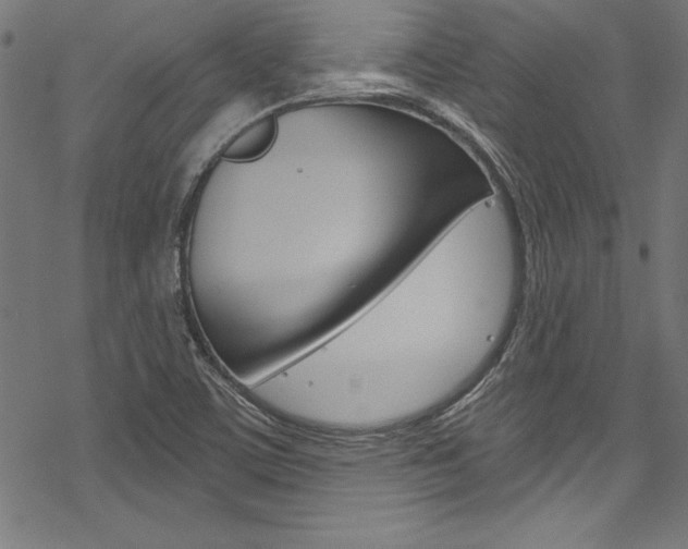 X0000078301459200611031005