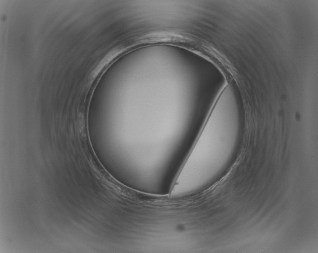 X0000078301465200611031005