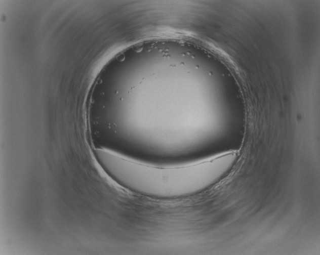 X0000078301479200611031005