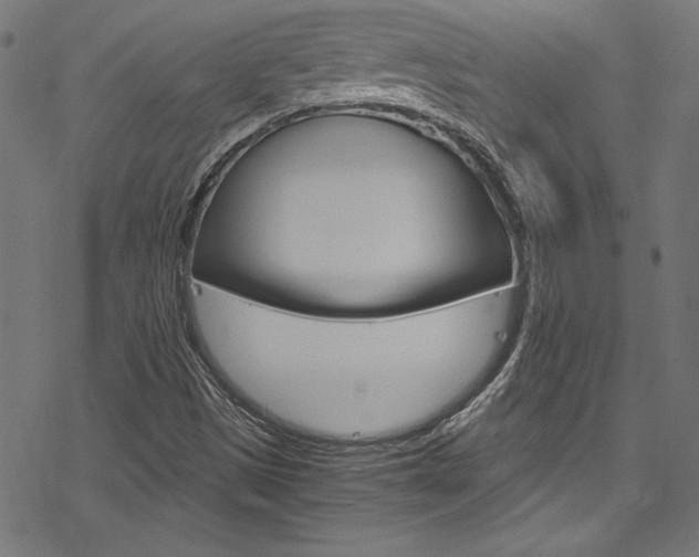 X0000078301497200611031004