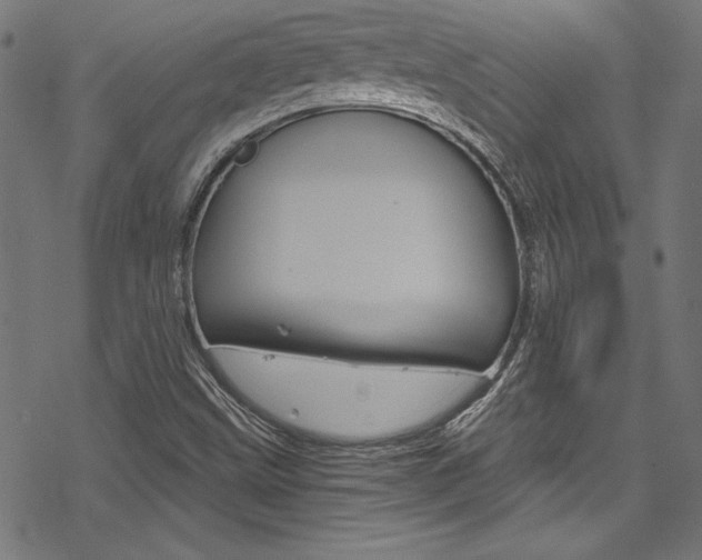 X0000078301499200611031004