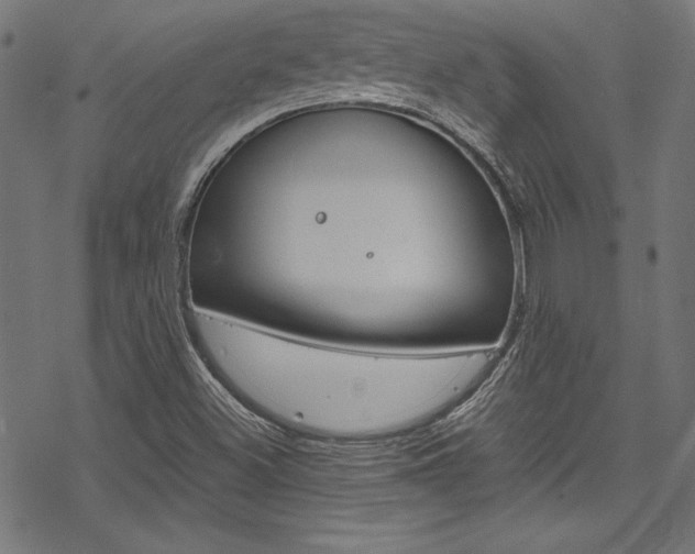 X0000078301500200611031004