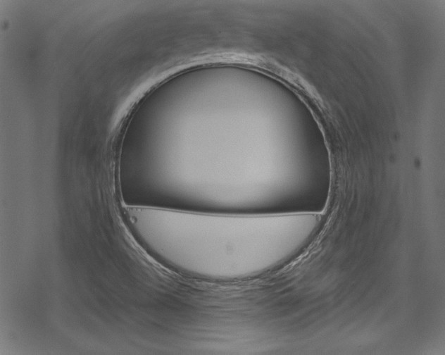 X0000078301504200611031004