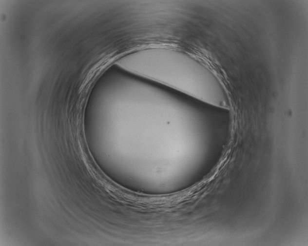 X0000078300001200611031308
