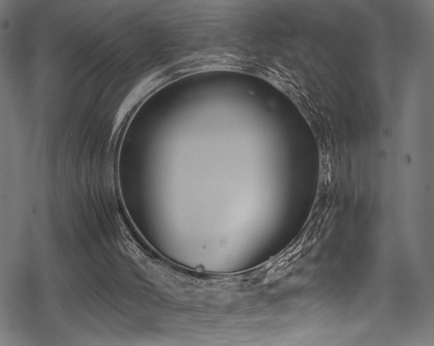 X0000078300004200611031308