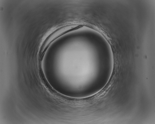 X0000078300008200611031308