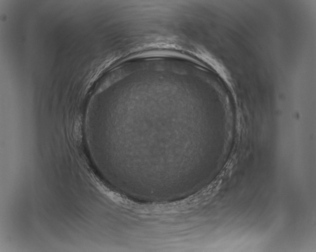 X0000078300009200611031308