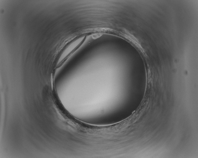 X0000078300013200611031308