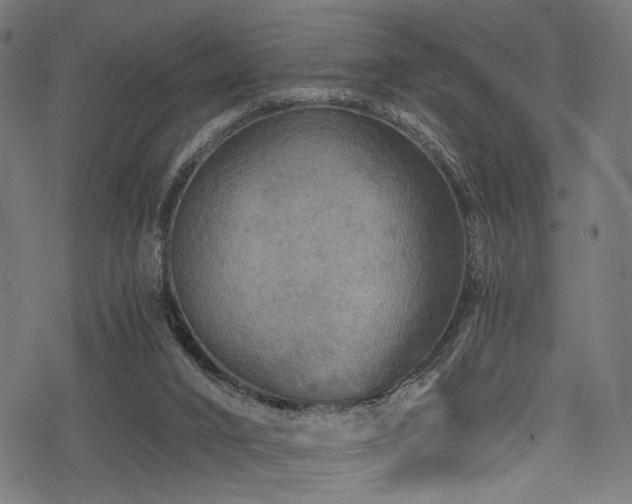 X0000078300016200611031308