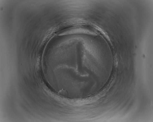X0000078300018200611031308
