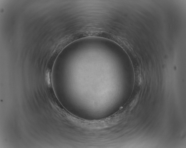X0000078300042200611031307