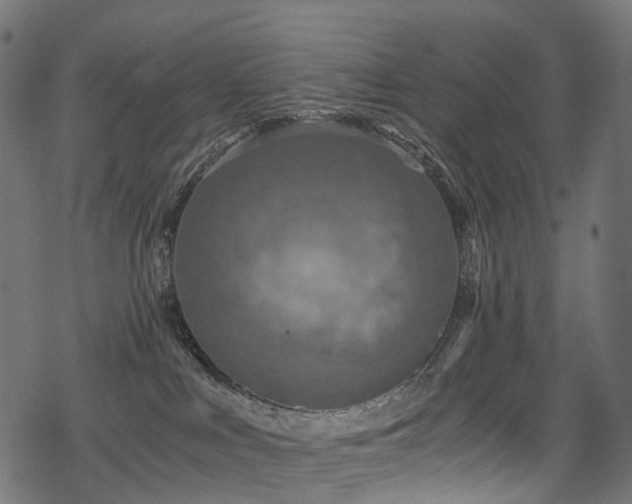 X0000078300043200611031307
