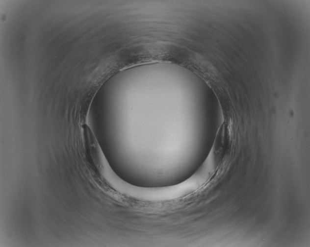 X0000078300045200611031307