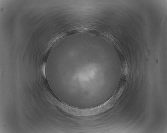 X0000078300047200611031307