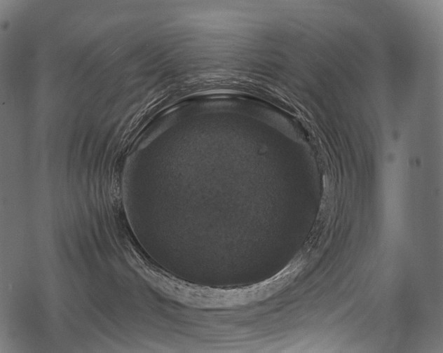 X0000078300048200611031307