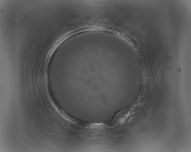 X0000078300055200611031307