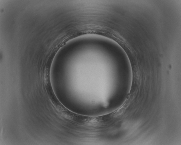 X0000078300074200611031307