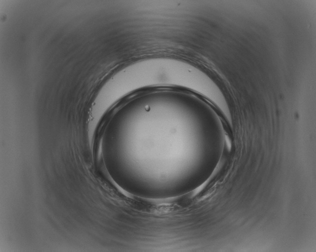 X0000078300076200611031307