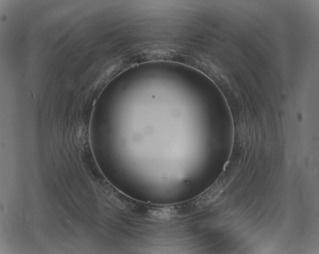 X0000078300079200611031307