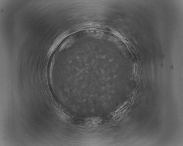 X0000078300099200611031306