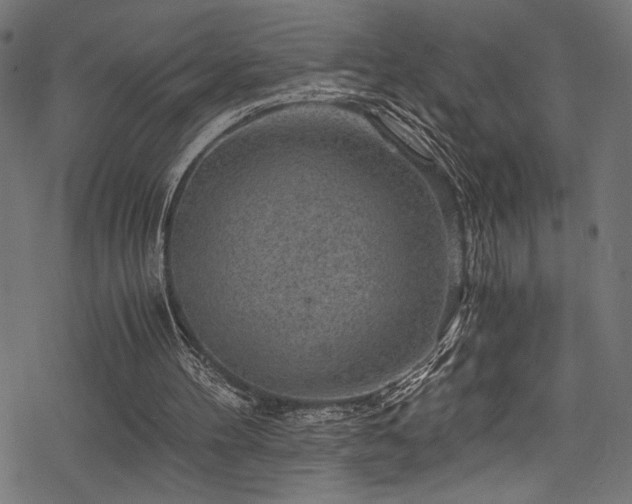 X0000078300100200611031306
